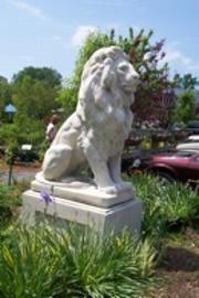 lion, safety, health, schools, Ellie Goldberg